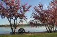 lake view.jpg
